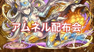 【パズドラ】アムネル配布会