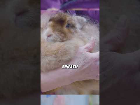 Und die Kaninchen lieben es