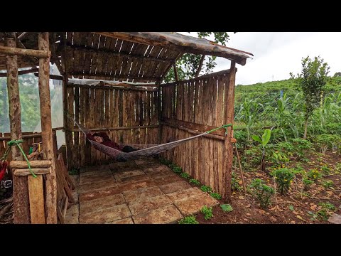 Building Wooden House On New Farm -  Amazing Fastest Wooden House Construction Method
