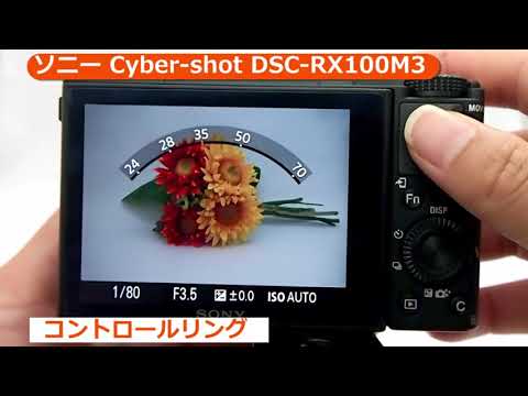 DSC-RX100M3 中古 39,800円 | ネット最安値の価格比較 プライス