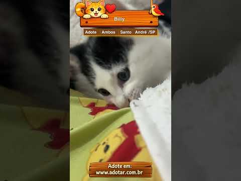 Vídeo de Billy