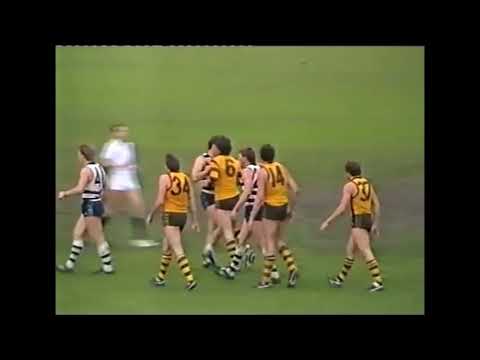 Leigh Matthews Terrifying hit on Neville Bruns Hawthorn V Geelong