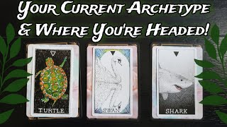 🦹‍♀️⚡ Your Current Archetype & Where You're Headed! 🌟🦹‍♀️⚡Pick A Card Reading