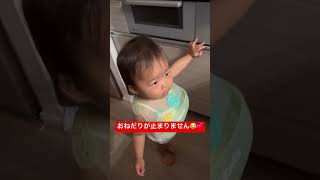 おねだりが止まりません😂💕#1歳児 #おねだり #育児あるある #子育て #成長記録 #今日の1歳児 #赤ちゃんのいる生活 #親バカ部 #癒し動画 #ほっこり