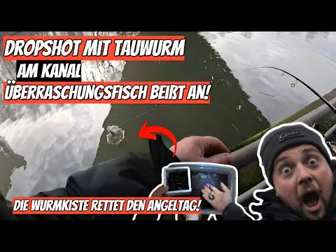 Fishing on the canal [Surprise fish on dropshot ] The worm box saves the fishing day!