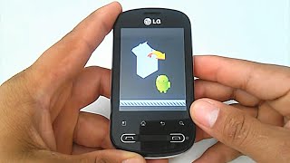 firmware lg p350 v10c