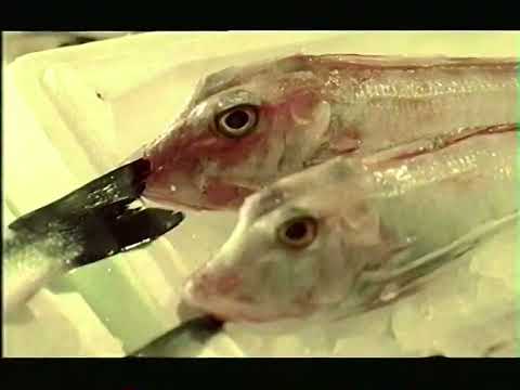 Mainoksia #9 (14.4.2002)