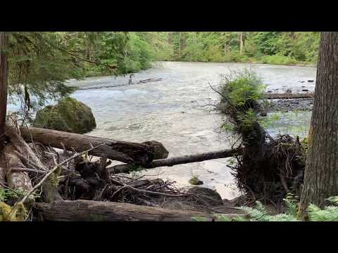Zen Moment: Summer Flow on the North Fork of the Nooksack River