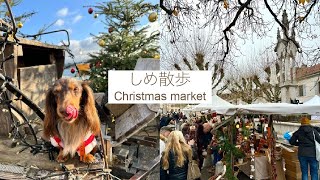 しめ散歩　クリスマス編🎄