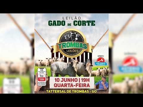 LEILÃO  GADO DE CORTE TROMBAS LEILÕES - TROMBAS GOIAS  - 10 / 06 / 2026