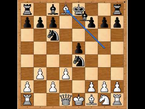 Žrtvovao je damu za mat lakim figurama!!