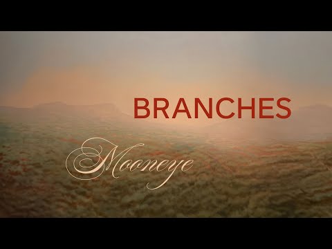 Mooneye - Branches (Lyric Video)