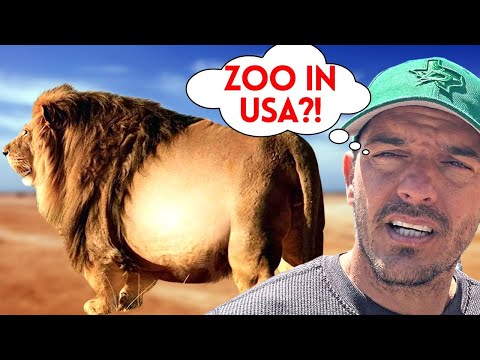 Cuban Reacts to the Zoo in America - Emotional!
