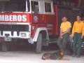 INCENDIO EN EL URITORCO, INFORME DEL JEFE GUEVARA