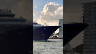 Ritz-Carlton Ilma 🛳️ #cruise #travel #vacation #luxury #travelvlog #shorts #youtubeshorts #fun #yt