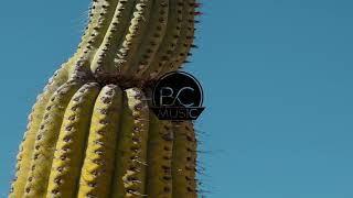 Machine Gun Kelly (MGK) - The Return