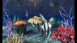i pesci grossi ''jovanotti'' dall'album ORA 2011