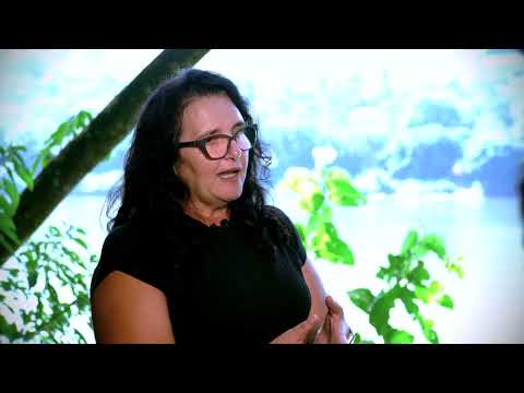 Documentário da História de Palmitos - Especial Centenário de Colonização