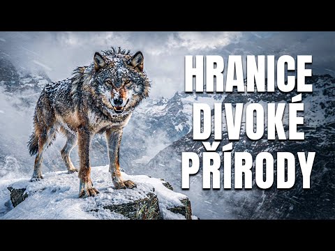 DIVOKÉ ŠVÝCARSKO | Boj o Přežití v Nejnebezpečnějších Alpách Evropy – Dokument o Zvířatech