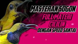Download lagu MASTERAN SOGON‼️ FULL MATERI CILILIN DENGAN SPEED SANTAI #sogon #sogongacor #sogokontong mp3
