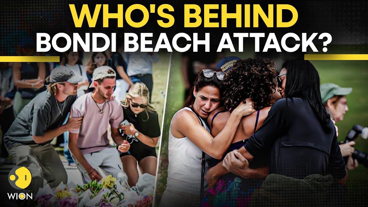 Bondi Beach Attack: What We Know About the Father-Son Suspects | WION ORIGINALS