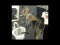 Man in the mirror — Stratovarius — Eternal (2015 ...