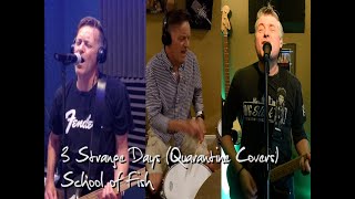 3 Strange Days by School of Fish (Quarantine Covers)