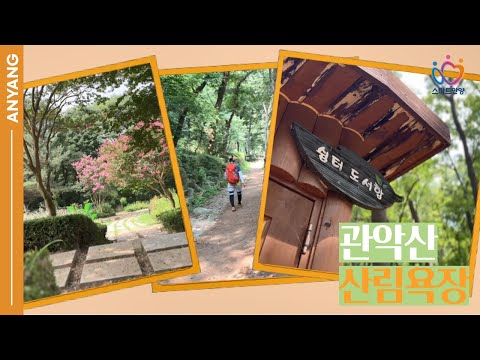 피톤치드 흠뻑 받고 싶을 땐 여기로