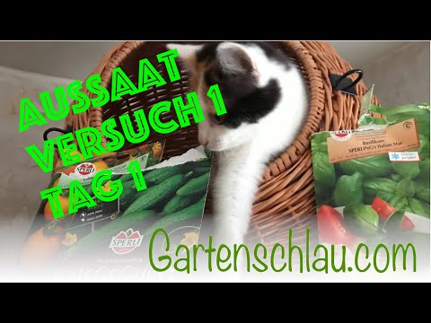 Der ultimative Samen-Experiment-Test | Können diese 10 Jahre alten Samen noch wachsen? #Tag 1