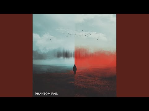 Phantom Pain