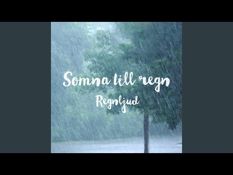 Regn öser ner