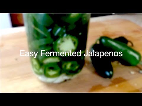 download lagu mp3 mp4 Fermented Whole Jalapenos, download lagu Fermented Whole Jalapenos gratis, unduh video klip Fermented Whole Jalapenos