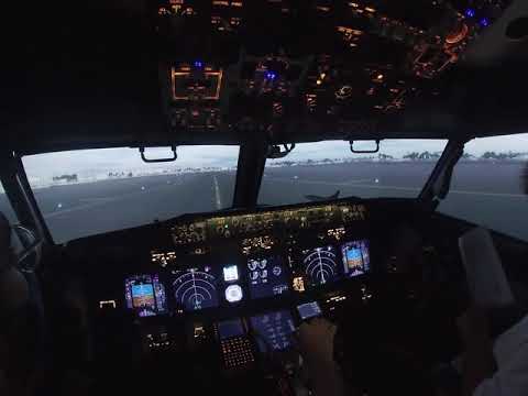 Full Cockpit 737 Sim Experience with my Brother
