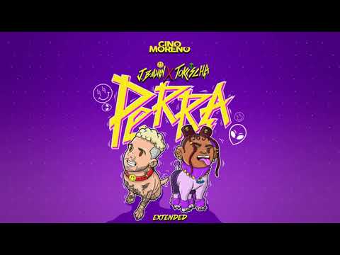 Perra - J Balvin, Tokischa - [ Gino Moreno Extended ]