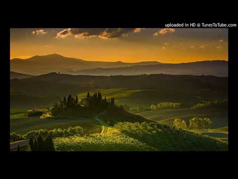 Organism 12 - Veritas [432hz]