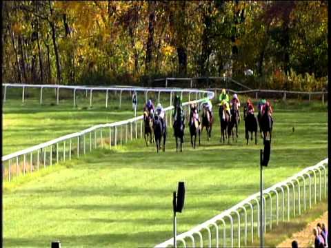 Galopprennbahn Dresden 26.10.2013 - 2.Rennen