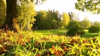 Санкт-Петербург, Павловск, сентябрь 2014, музыка, Armik, Mi Guitarra Roja