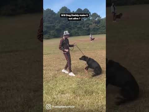 Is This The End For Dog Daddy- The Ending Is UNBELIEVABLE.