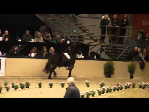 Gletting vom Kronshof, OD15T1