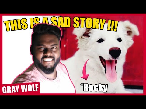 This is a true sad story !!!