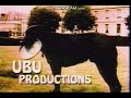 UBU Productions Dreamworks Television 1996
