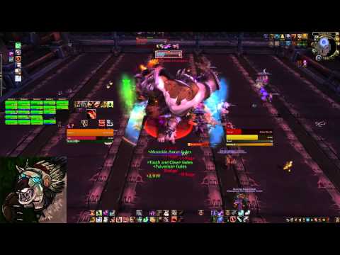 The Inconspicuous Bear - Heroic Hanz & Franz Guardian Guide