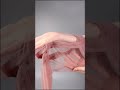 Ultra Thin Beautiful Shiny Pantyhose Legs Beauty Nylon Stockings Fashion Pantyhose Feet