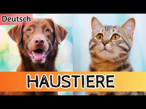 Schaut euch das mit euren Kindern an! Lernt die Haustiere kennen!🐾🔊