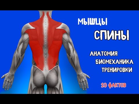 Исправление осанки минск Лордоз шейного отдела.