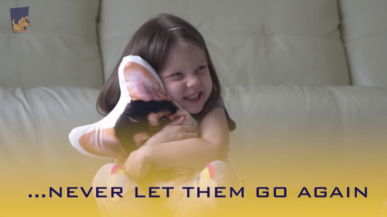 Houndeer - Custom Shaped Pillow