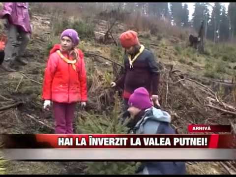 Hai la înverzit la Valea Putnei!