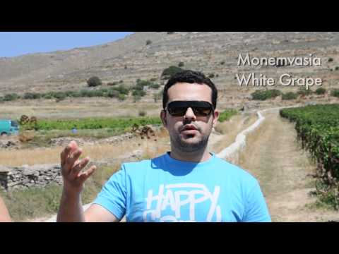 Theo Moraitis  discusses Paros Reserve Red