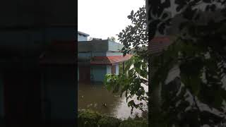 preview picture of video 'Flood in perumbavoor!!! Perumbavoor poopani road!!!'