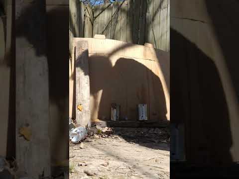 Gamo Swarm Fusion 10X Gen 2 Shooting Review. Flying Can Ranch